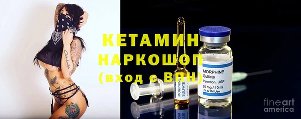 прущие грибы Тихвин